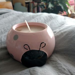 Homemade Candle in Adorable Ladybug Container